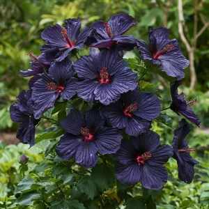 Гибискус Мэджик Момент купить по цене от 699р. в интернет-магазине «Посадика» с доставкой почтой в в Копейске и по всей России – [изображение №1].