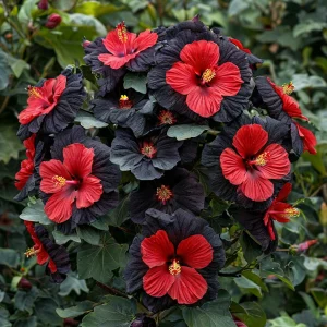 Гибискус Шиммеринг купить по цене от 720р. в интернет-магазине «Посадика» с доставкой почтой в в Копейске и по всей России – [изображение №1].